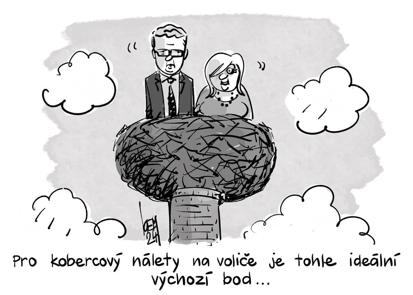 Obrázek predvolebni hnizdo
