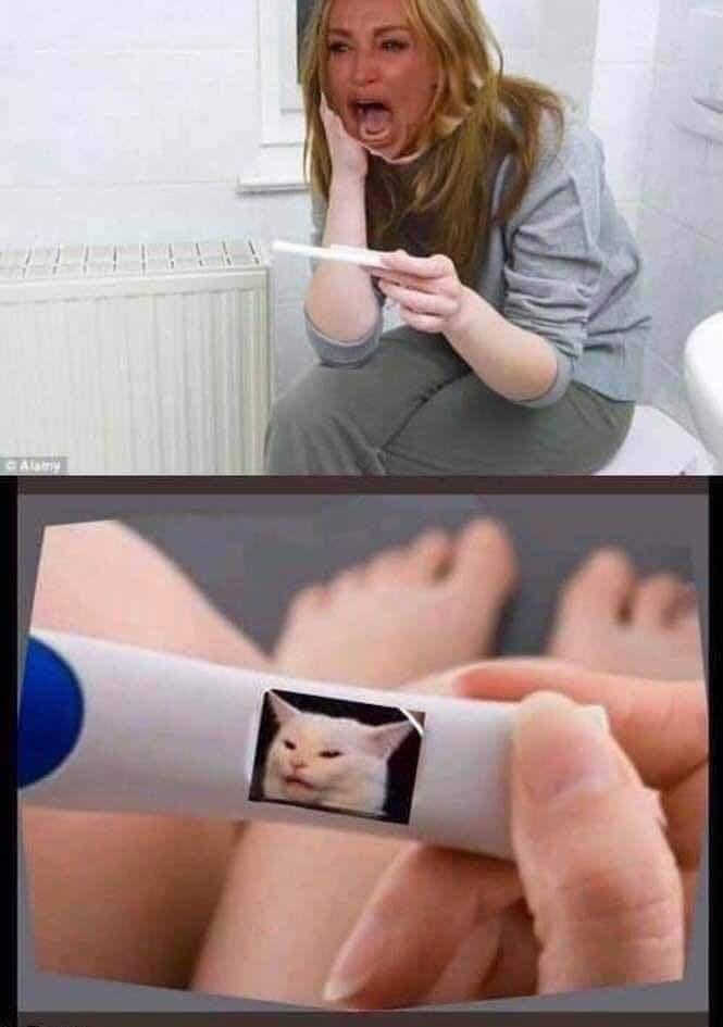 Obrázek pregnancy test