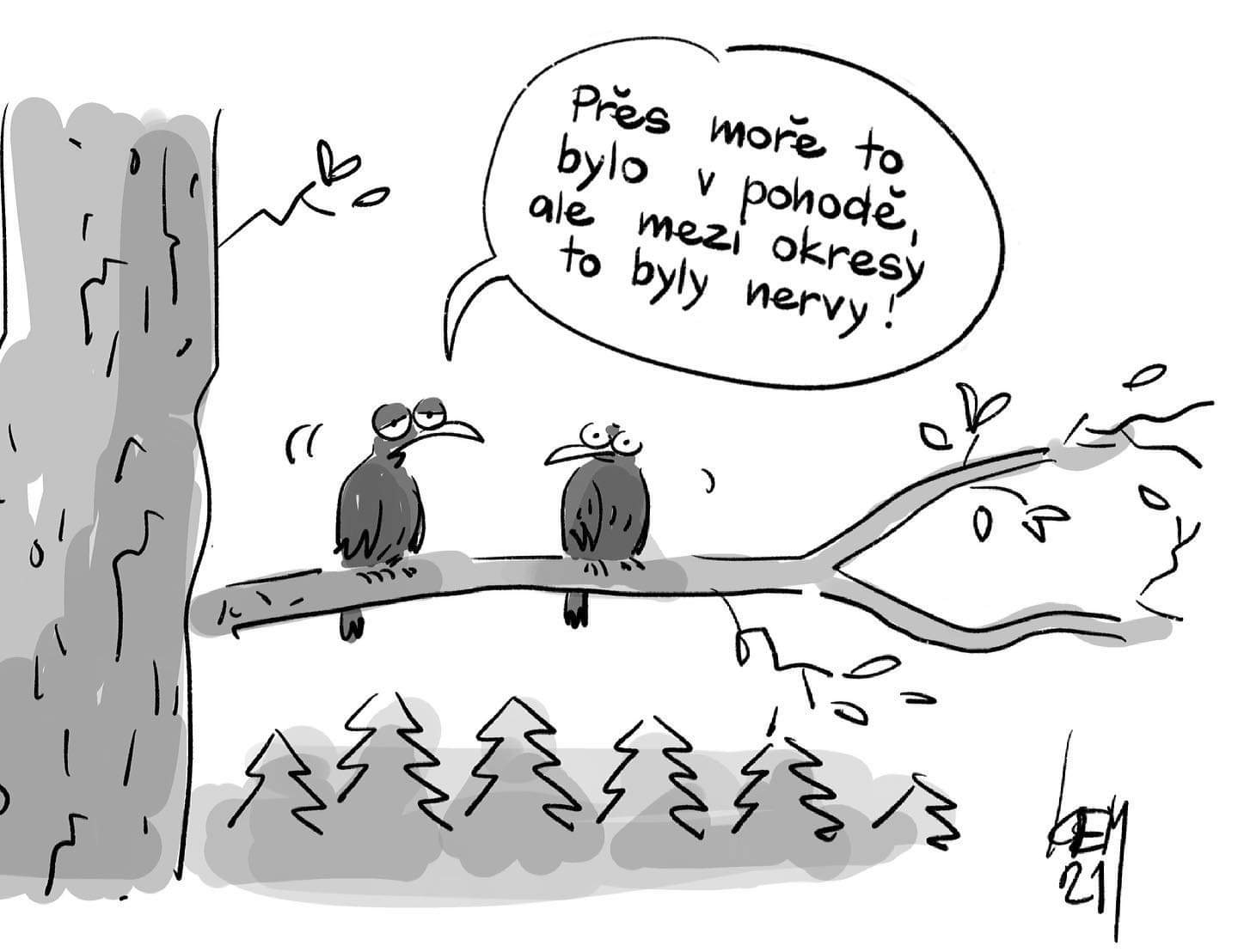Obrázek pres more