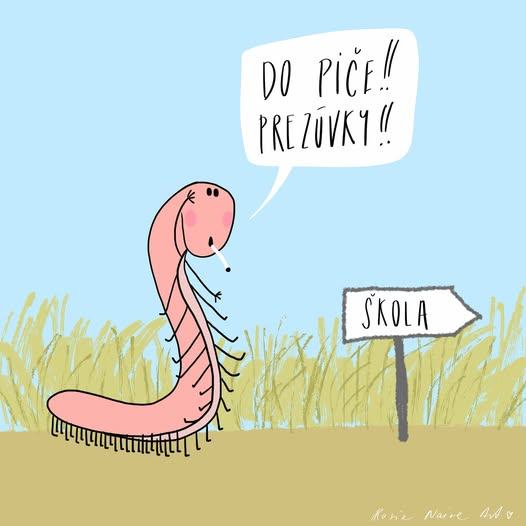 Obrázek prezuvky