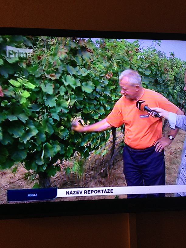 Obrázek prima&nbsp;fail