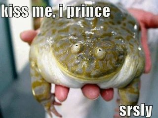 Obrázek princekiss