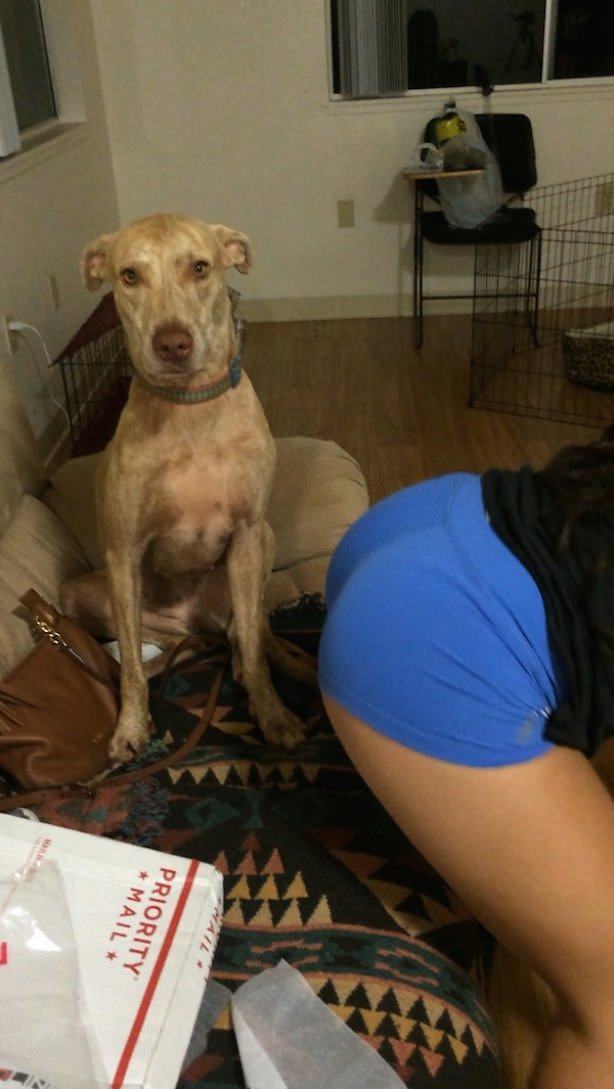 Obrázek priority9I87