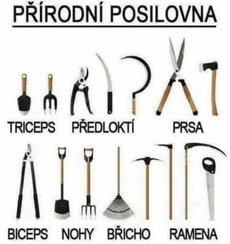 Obrázek prirodni posilovna