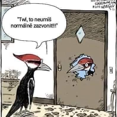 Obrázek priste bud zvon nebo nechod