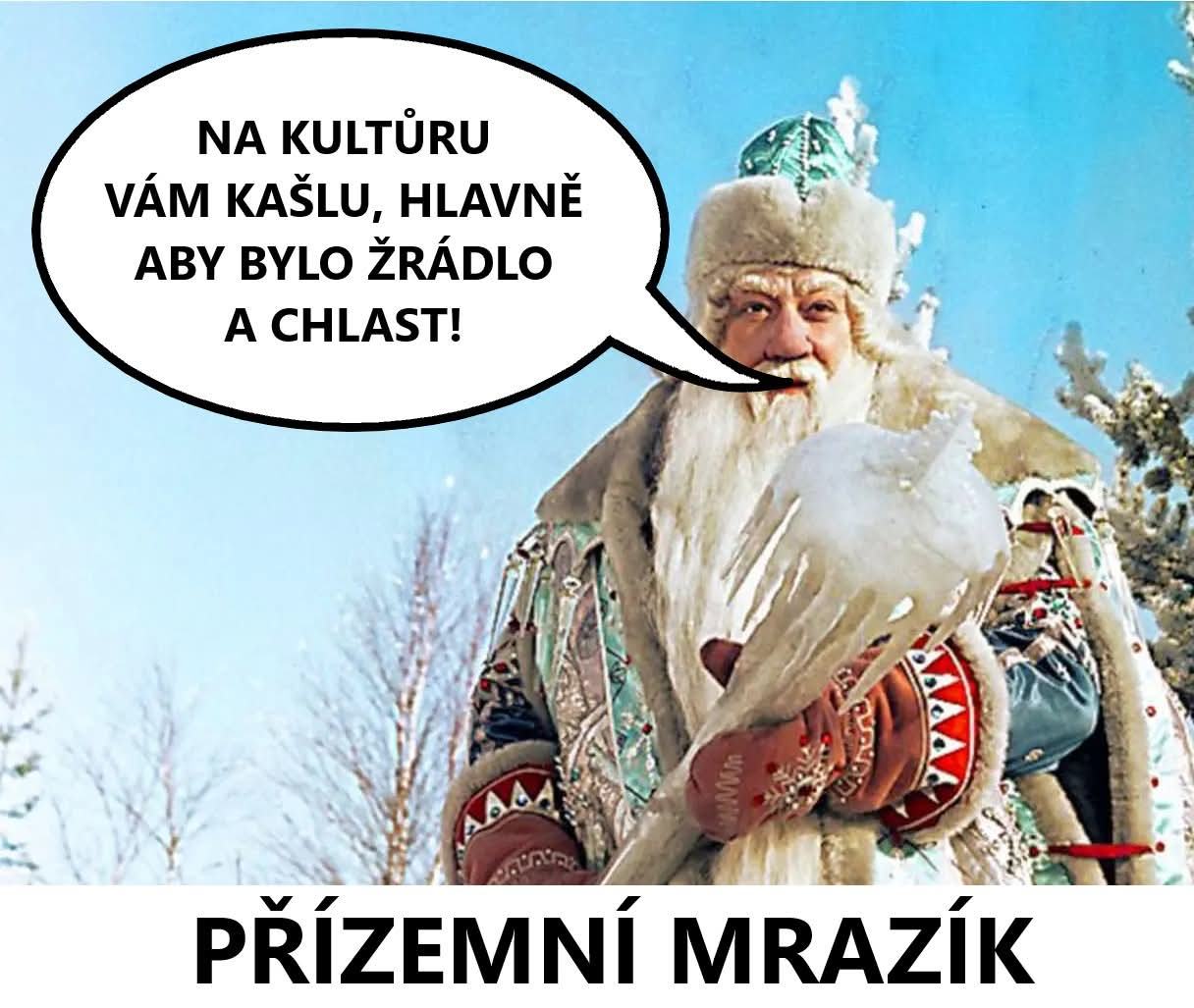 Obrázek prizemni mrazik