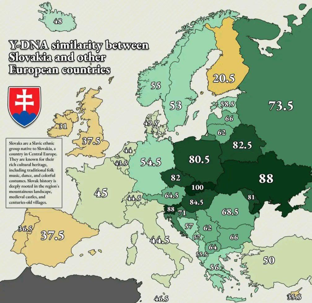 Obrázek proc slovaci nesnaseji UAcka