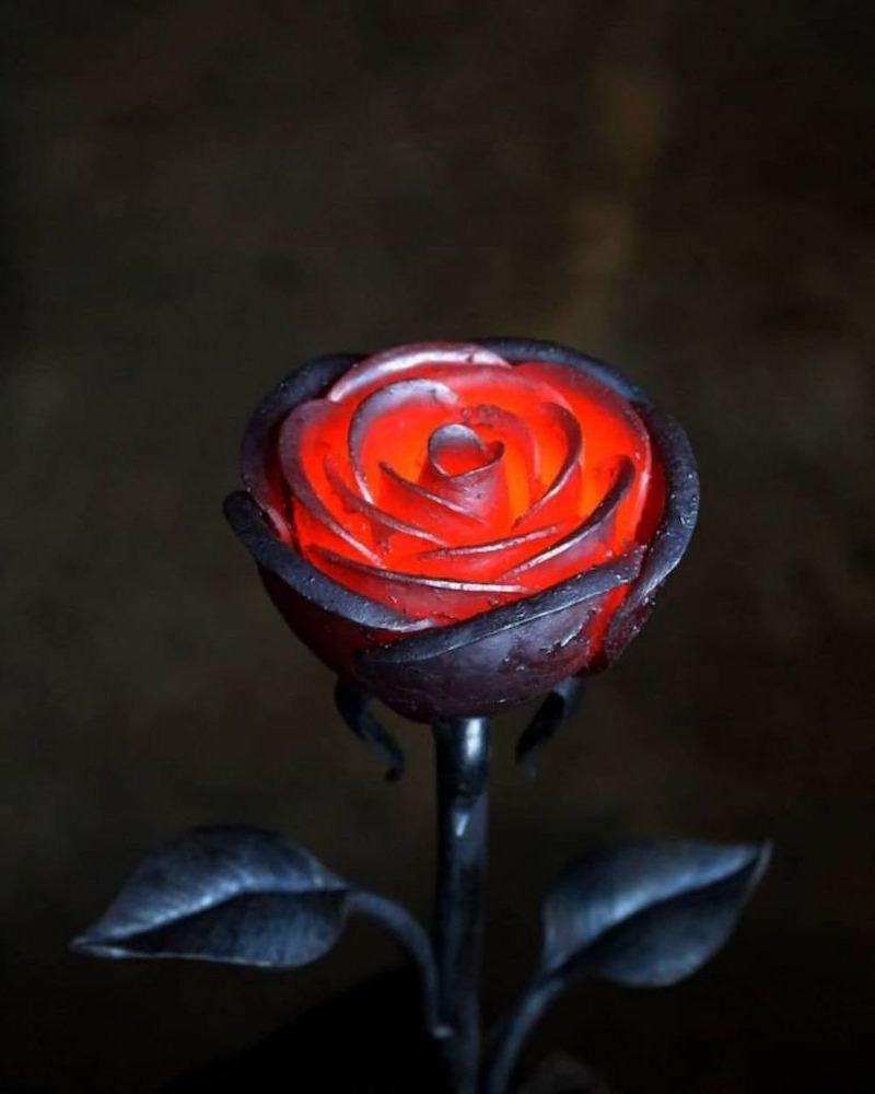 Obrázek proc&nbsp;ta&nbsp;ruze&nbsp;neuvadaaa