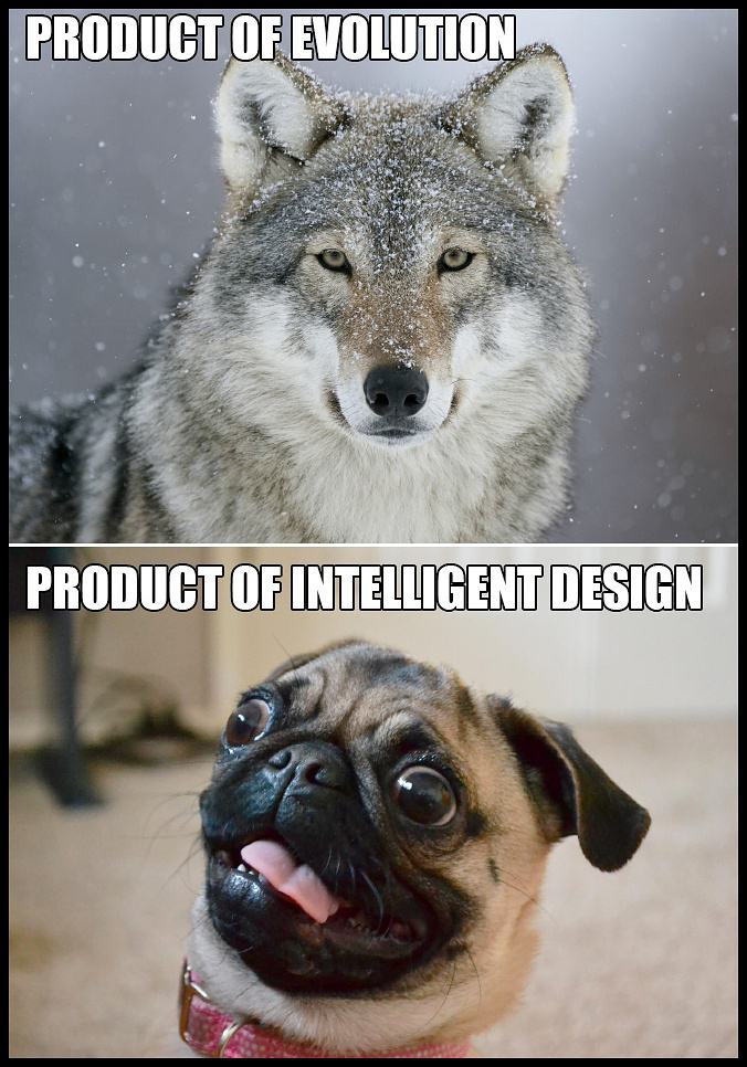 Obrázek products&nbsp;&nbsp;&nbsp;