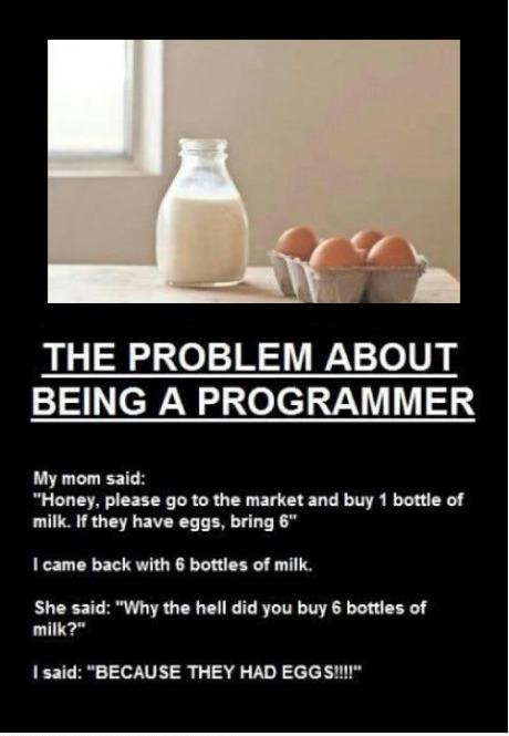 Obrázek programmers problem