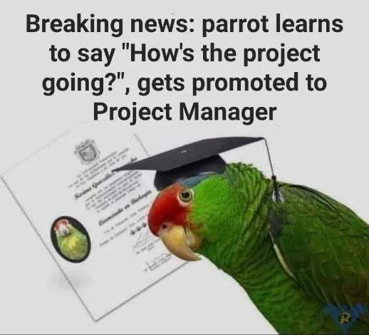 Obrázek project manager of the year