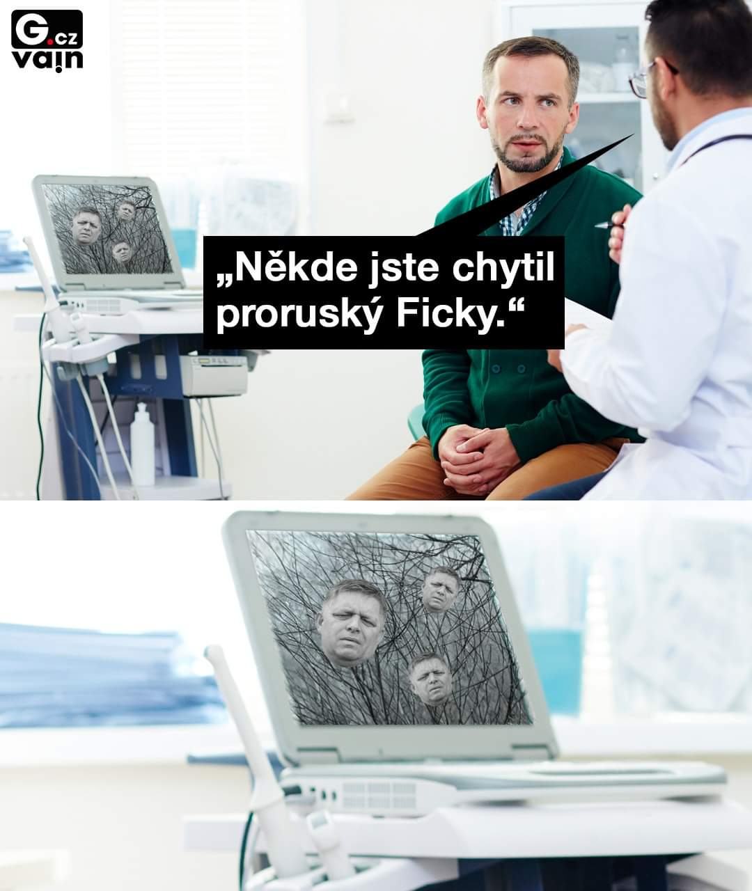 Obrázek proruske filcky
