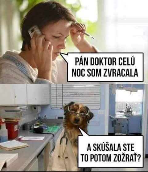 Obrázek psi doktor