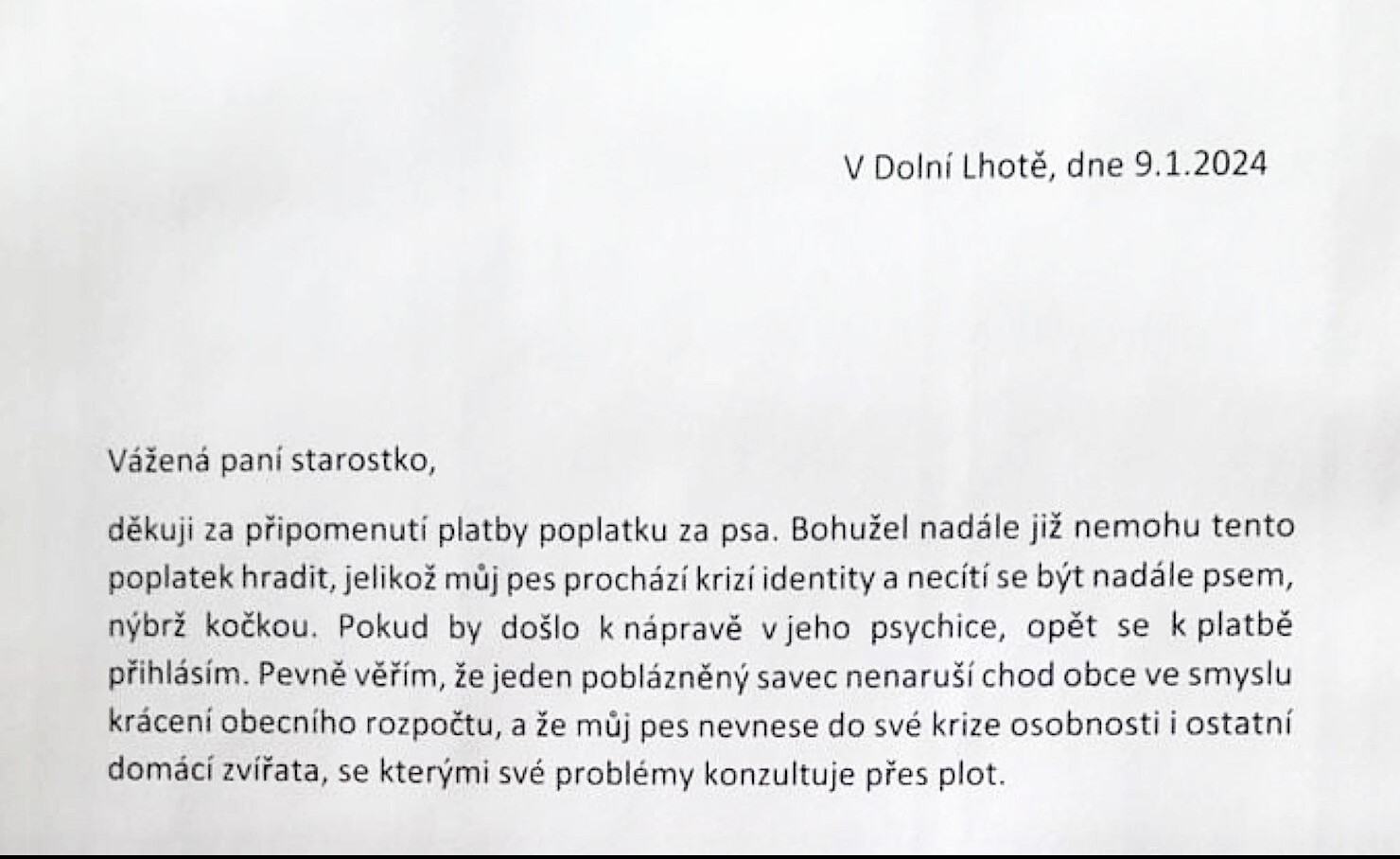 Obrázek psova identita