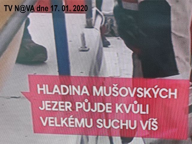 Obrázek pta se jestli to vim