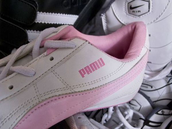 Obrázek puma 1