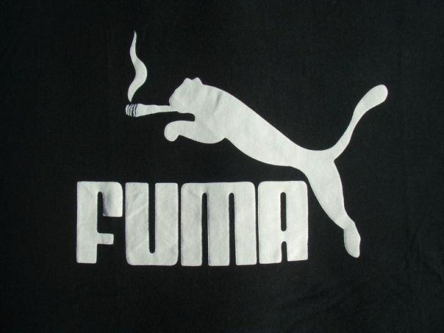 Obrázek puma 3