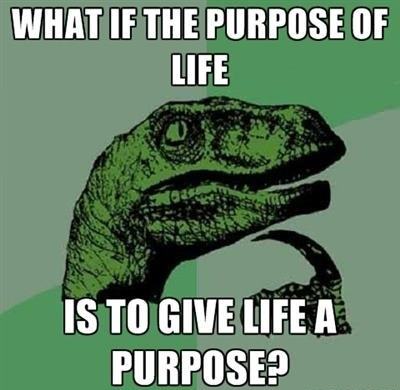 Obrázek purpose of life