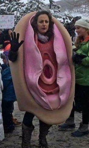 Obrázek pussy image search 1572996651869