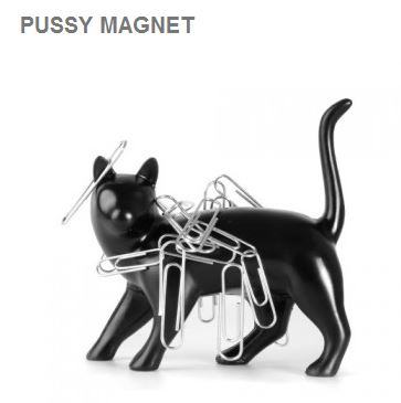 Obrázek pussy magnet