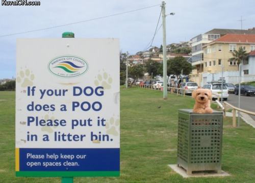 Obrázek put your dog in litter bin