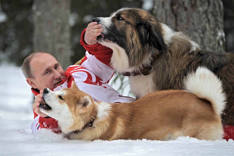 Obrázek putin 84