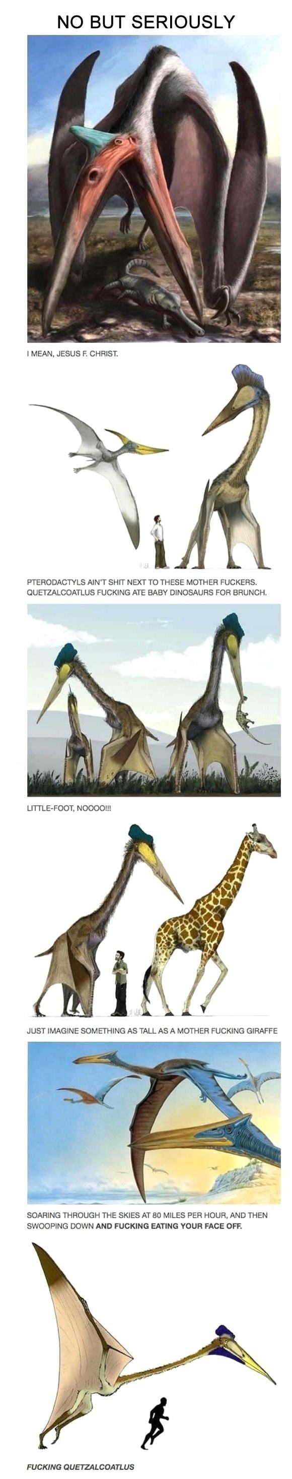 Obrázek quetzalcoatlus