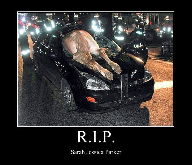 Obrázek r.i.p. sarah jessica parker