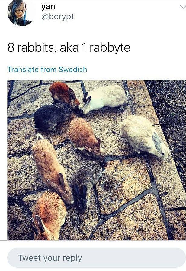 Obrázek rab&nbsp;aka&nbsp;rab