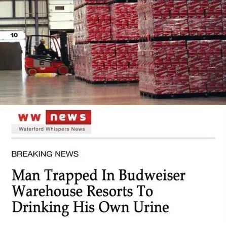 Obrázek radsi chcanky jak budweiser   