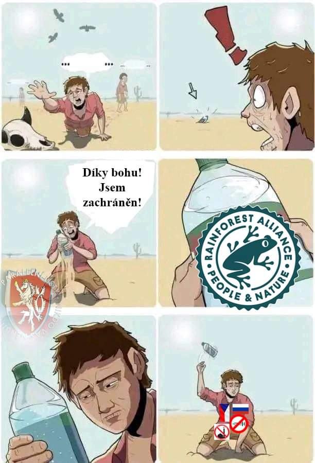 Obrázek rainforest alliance