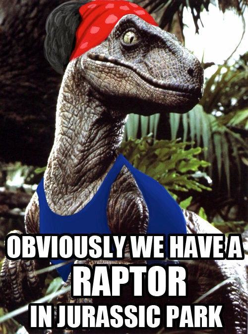 Obrázek rapin raptor