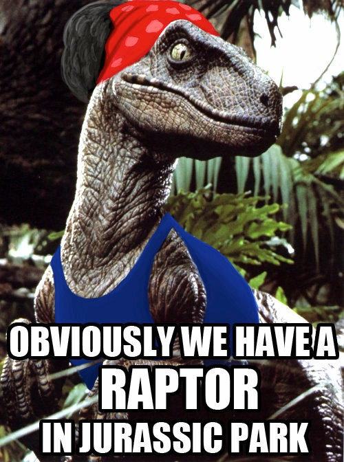 Obrázek rapin raptor