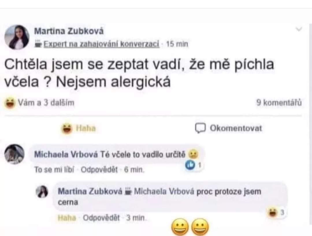 Obrázek rasisticka vcela