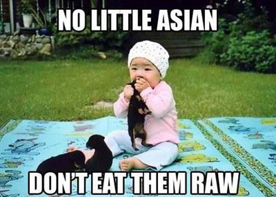 Obrázek raw asian