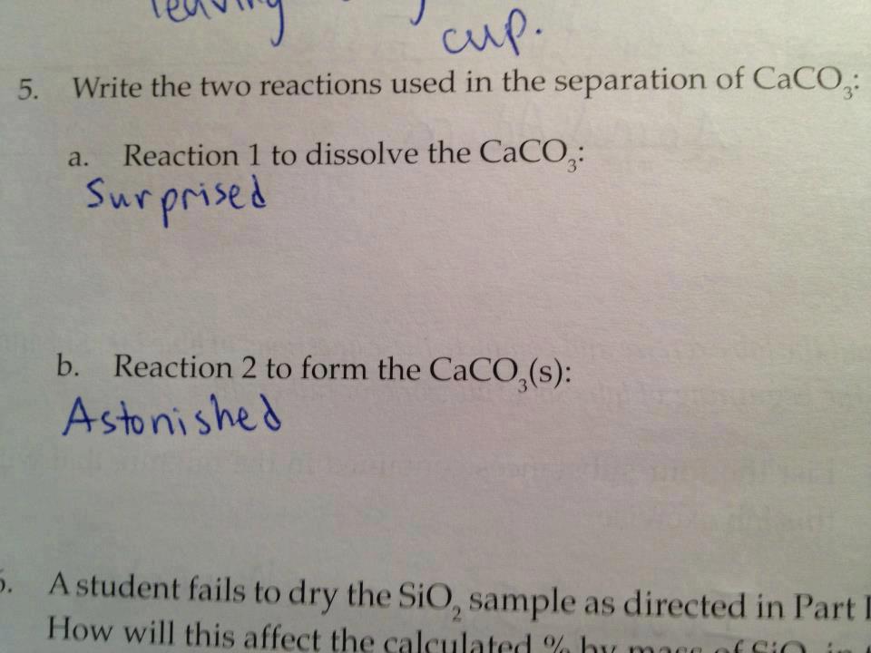 Obrázek reaction to calcium carbonate