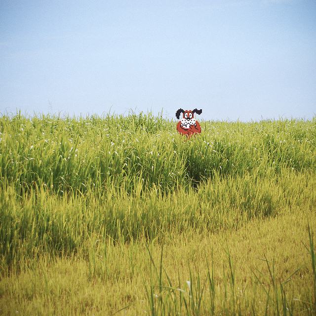 Obrázek real duck hunt