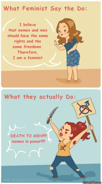 Obrázek real feminist