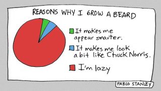 Obrázek reasons why i grow a beard