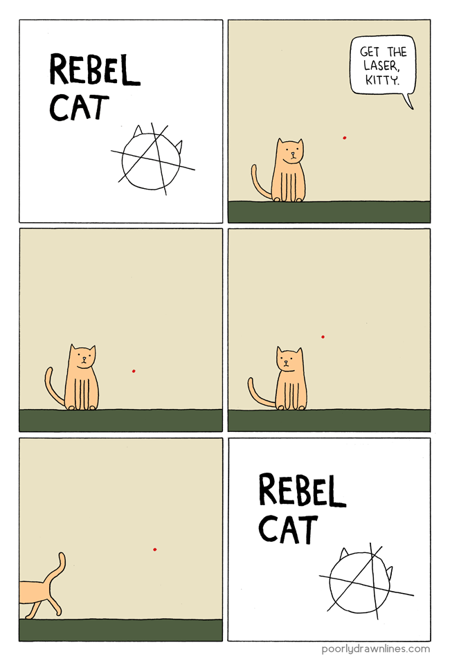 Obrázek rebel-cat