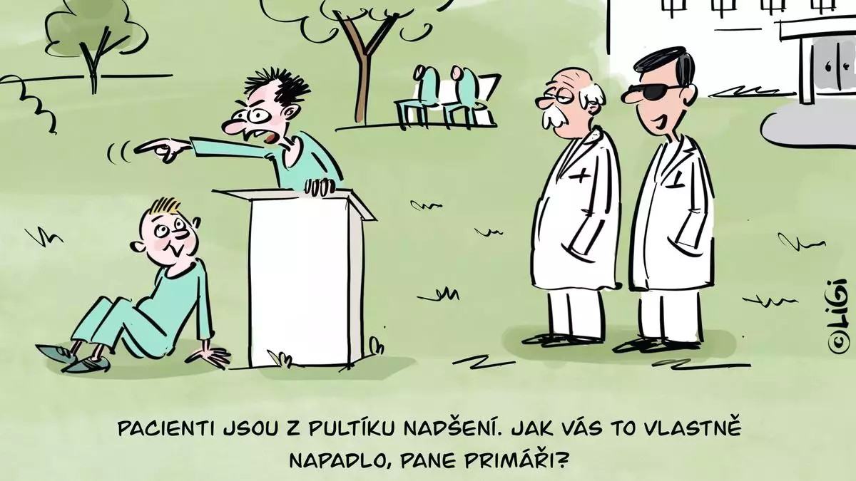 Obrázek recnicky pultik