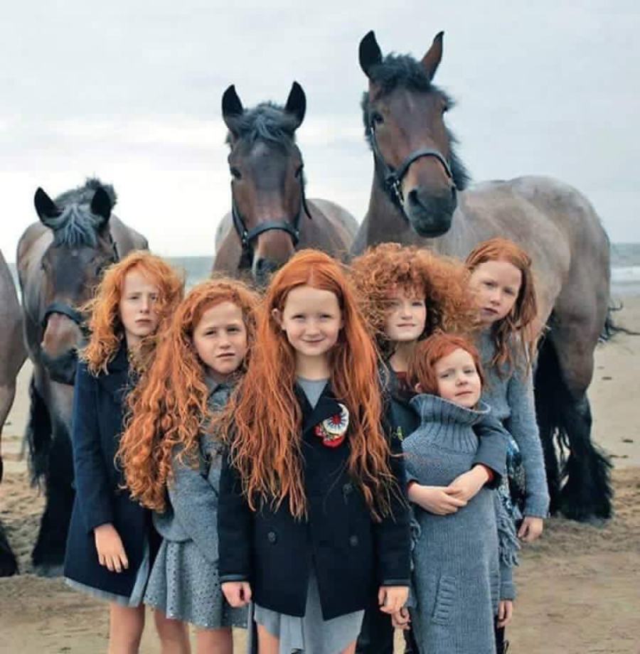 Obrázek redhair family