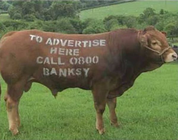 Obrázek reklamni kravy