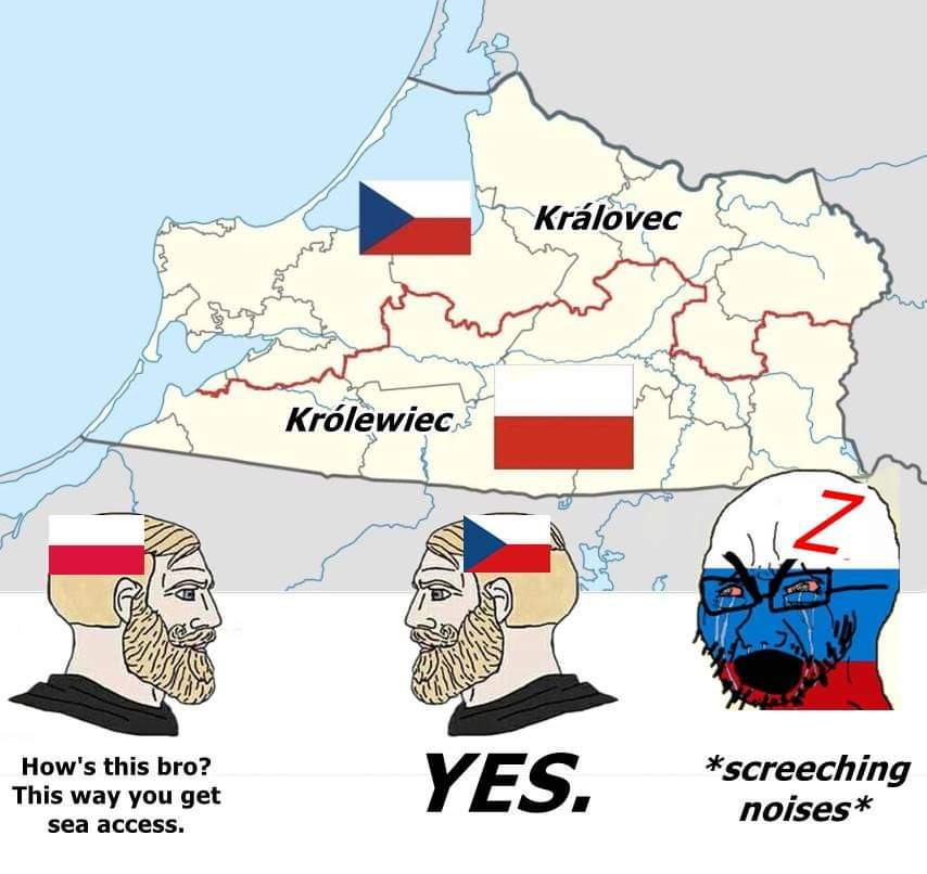 Obrázek reseni&nbsp;kralovec