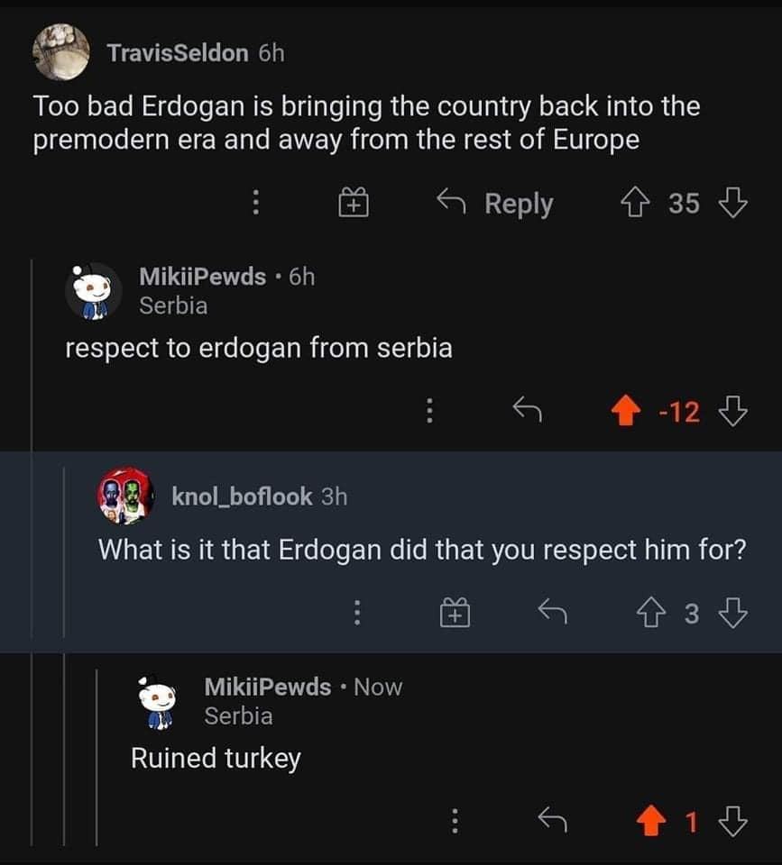 Obrázek respect Erdogan from Serbia