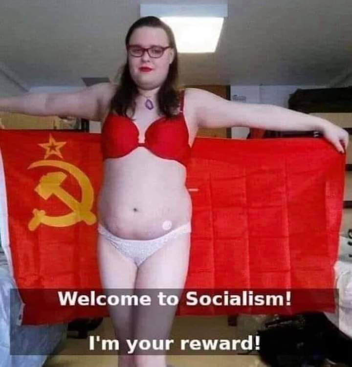 Obrázek reward socialist