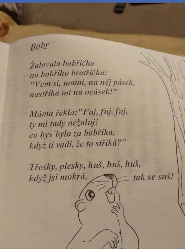Obrázek rikanka1