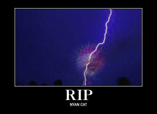 Obrázek rip nyan