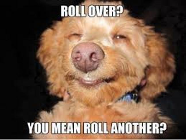 Obrázek rollover