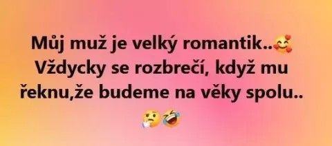 Obrázek roman tik